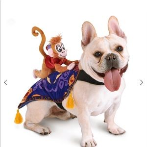 Halloween pet costume